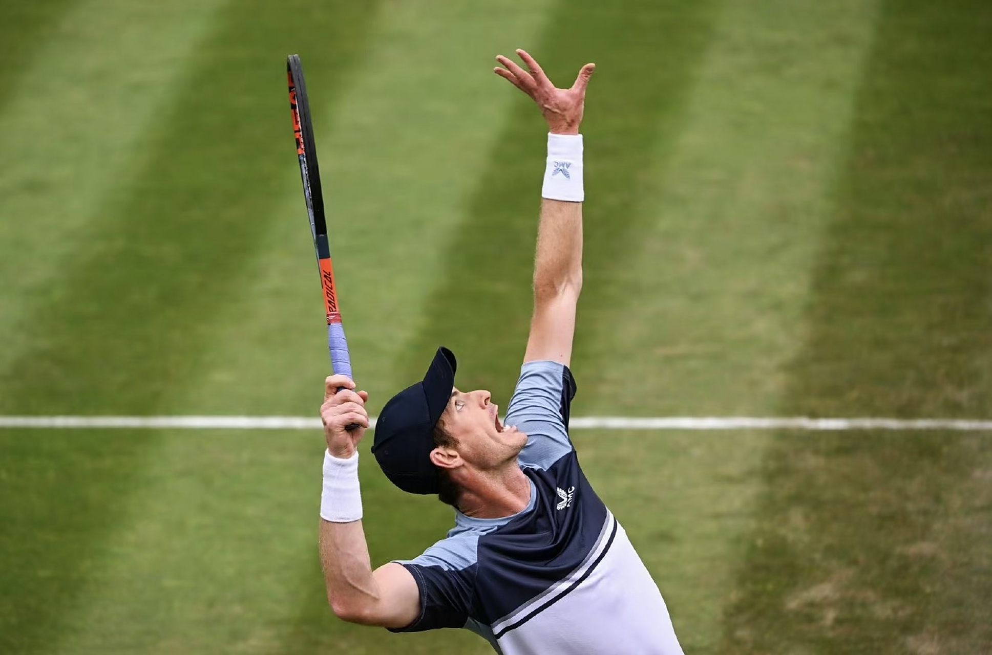 澳网绝杀ATP总决赛，穆雷刷新纪录